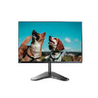 EIZO EV2450  FlexScan 23.8" Full HD Slim Frameless PC Monitor Display with Speakers