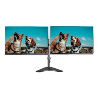 Dual EIZO EV2450 FlexScan 23.8" FHD Slim Frameless PC Monitor Display + Articulating Mount Stand