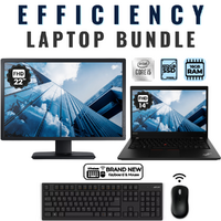 Lenovo ThinkPad T490 14