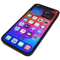 Apple iPhone 12 - 256GB - 5G Black A2403 (Unlocked) 6.1" Smartphone