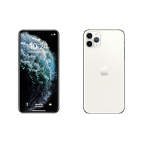 Apple iPhone 12 Pro - 256GB - Silver (Unlocked) A2407 (CDMA + GSM)- Smartphone
