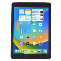 Apple iPad 5th Gen. 128GB, Wi-Fi + Cellular (Unlocked), 9.7in - Space Grey