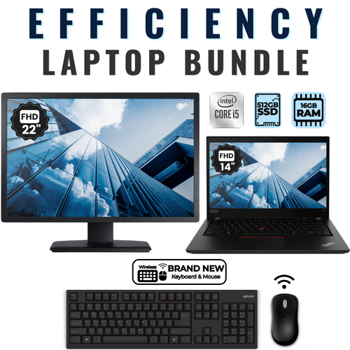 Lenovo ThinkPad T490 14" Laptop Bundle i5-8265U 512GB 16GB RAM LTE + 22" Monitor