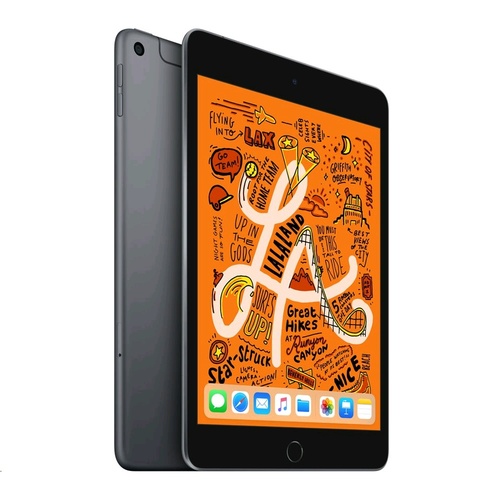 Apple iPad Mini (5th Generation) 64GB, Wi-Fi + Cellular, 7.9in - Space Gray Tablet